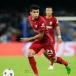 Luis Díaz Premier League