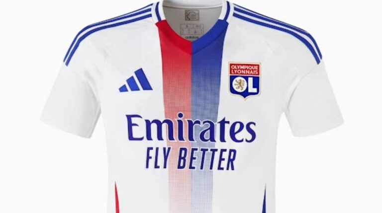 Captura de los documentos oficiales de la DNCG mostrando los balances y cuentas de resultados de clubes como Olympique de Lyon, Marsella, Estrasburgo, Rennes y Saint-Étienne.