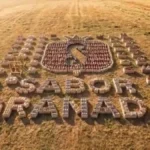 Composición aérea de cajas de fruta formando el logo y el texto "Sabor Granada" en un campo