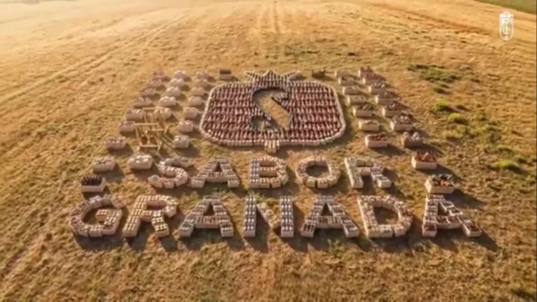 Composición aérea de cajas de fruta formando el logo y el texto "Sabor Granada" en un campo