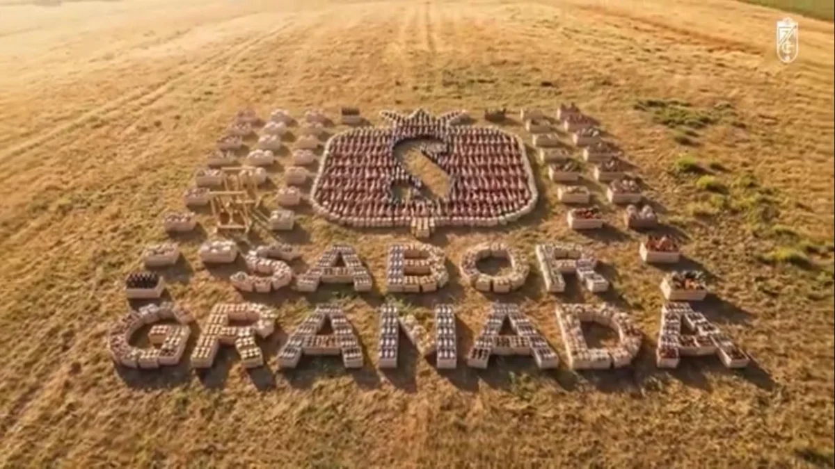 Composición aérea de cajas de fruta formando el logo y el texto "Sabor Granada" en un campo